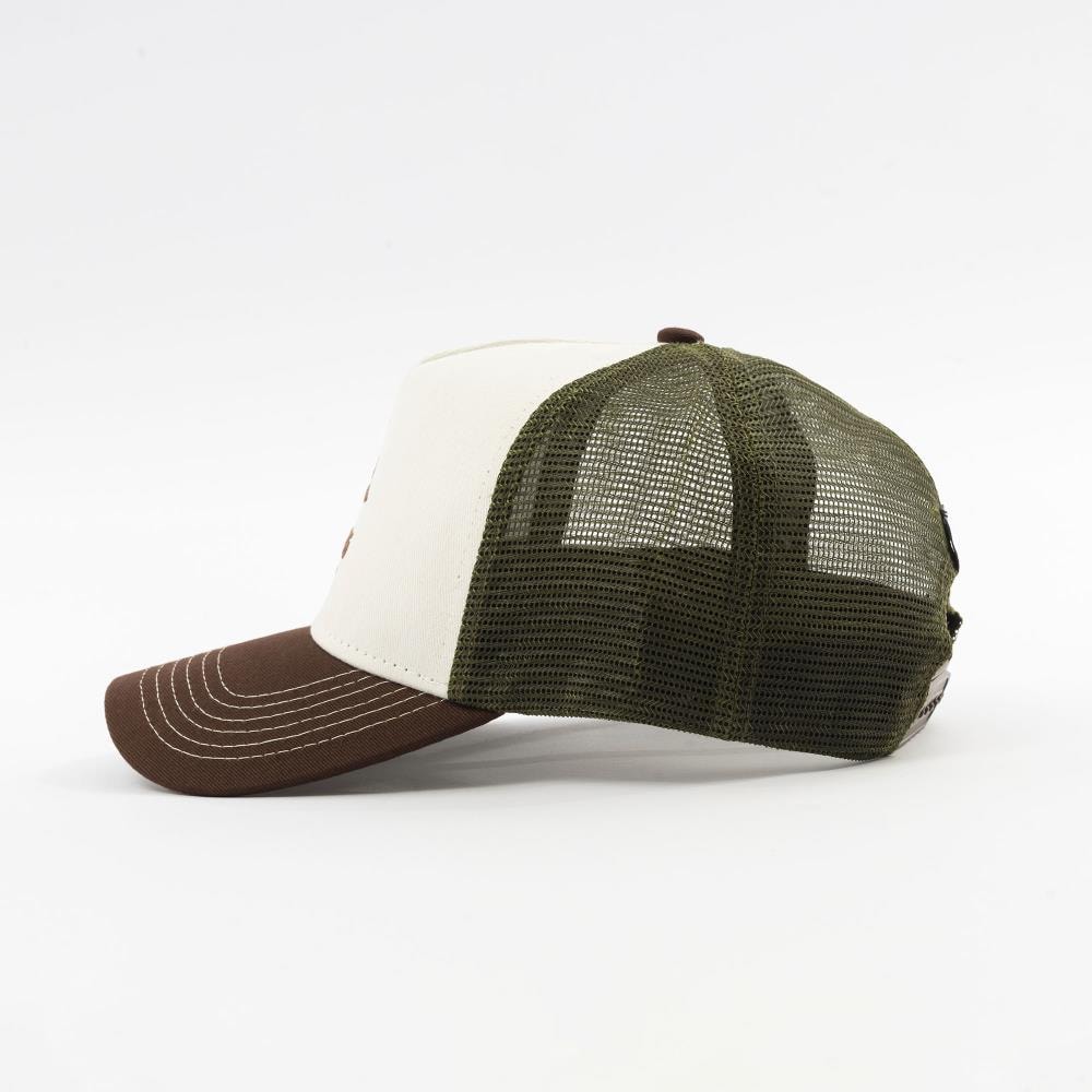 image_91e53e76-afd6-4723-8ca6-5d3f41a6303c