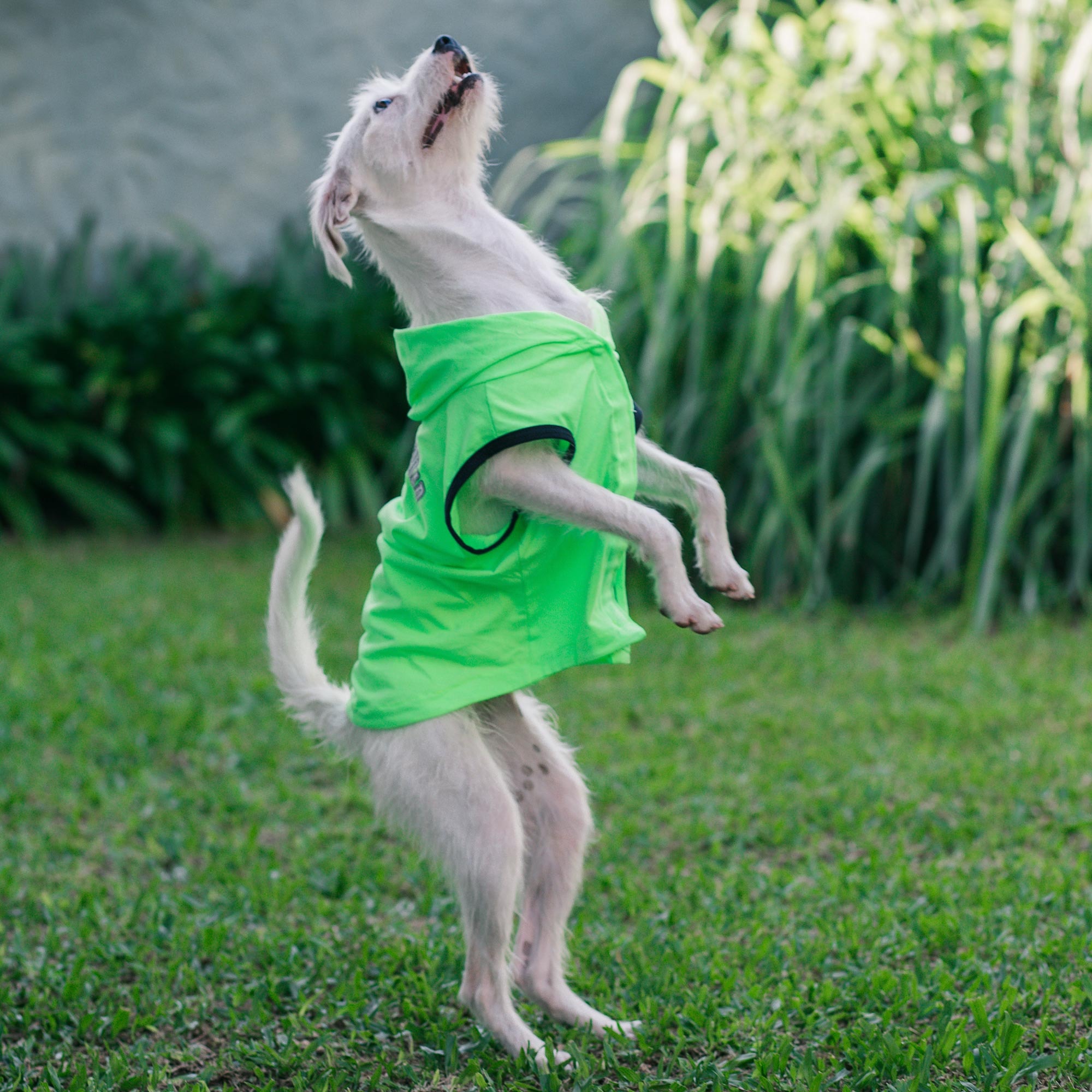 image_4ede7c8c-68f9-4a1e-9fbc-772886c91c6e