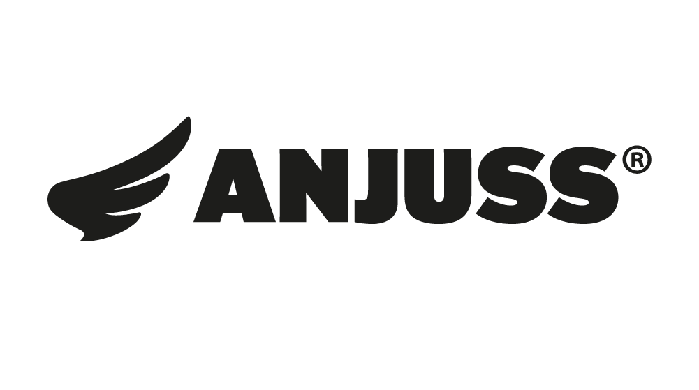 Logo Anjuss